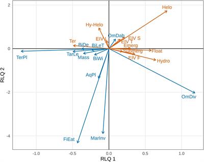 Functional Traits Drive Dispersal Interactions Between European Waterfowl and Seeds